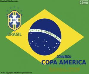yapboz Brezilya, şampiyon Copa America 2019